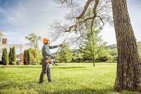 Best Emergency Tree Removal  in Newfoundland, NJ