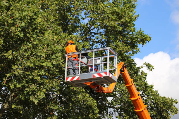 Best Weed Control  in Newfoundland, NJ