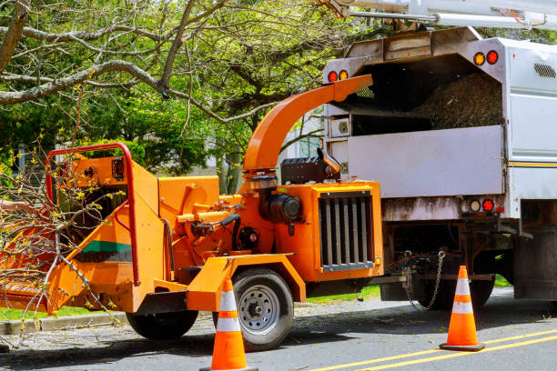  Newfoundland, NJ Tree Removal Pros